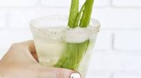 Aloe Margarita Aloe Margarita