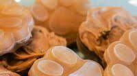 Bone Broth & Peanut Butter Frozen Dog Treats Bone Broth & Peanut Butter Frozen Dog Treats