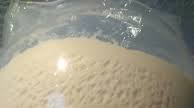 Easy poolish pizza dough Easy poolish pizza dough