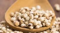 Sorgo: un cereal nutritivo y perfecto para los celíacos Sorgo: un cereal nutritivo y perfecto para los celíacos