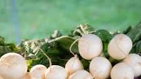 White Radish Salad White Radish Salad