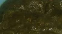 Saag tadka Saag tadka