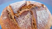 Easy Rustic Whole Wheat Bread **Updated** Easy Rustic Whole Wheat Bread **Updated**