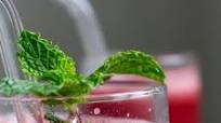Watermelon Mint Juice made in a blender Watermelon Mint Juice made in a blender