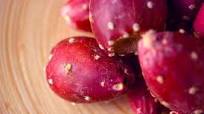 Prickly Pear Syrup Prickly Pear Syrup
