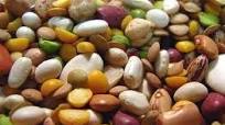 Vegan Crock Pot Holiday Bean Soup Vegan Crock Pot Holiday Bean Soup