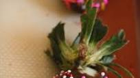 Chocolate Dipped Strawberries recipe Chocolate Dipped Strawberries recipe
