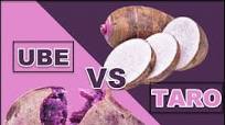 Difference between Ube and Taro - Asian Recipe Ingredients Difference between Ube and Taro - Asian Recipe Ingredients
