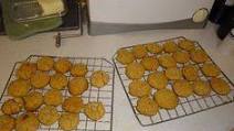 Low Protein Dog Treats Low Protein Dog Treats