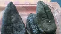 Chiles rellenos sin capear. ॐ Chiles rellenos sin capear. ॐ
