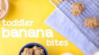 Banana Bites Banana Bites