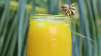 Jamu Jamu Wellness Shot Jamu Jamu Wellness Shot