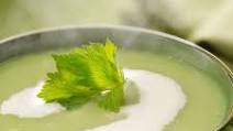 Puréed Cream of Celery Soup Puréed Cream of Celery Soup