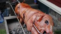 Pig Roast! Pig Roast!