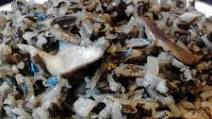 Wild Rice W/ Shiitake Mushrooms Vegan Wild Rice W/ Shiitake Mushrooms Vegan