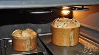 Il panettone fatto in casa con il lievito naturale Il panettone fatto in casa con il lievito naturale