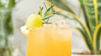 Best Grapefruit Juice Recipe Best Grapefruit Juice Recipe