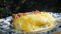 Lisa's Sour Cream Chicken Enchiladas Lisa's Sour Cream Chicken Enchiladas