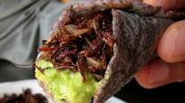 Chef Hugo Ortega's Chapulines Tacos Chef Hugo Ortega's Chapulines Tacos