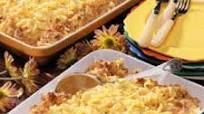 Cheesy Noodle Casserole Cheesy Noodle Casserole