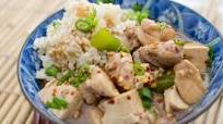 Quick Spicy Chicken and Tofu Quick Spicy Chicken and Tofu