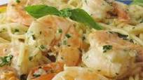 Shrimp Linguine Shrimp Linguine