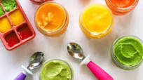 10 Stage One Baby Food Purees 10 Stage One Baby Food Purees