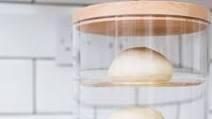 Sourdough Pizza Dough Sourdough Pizza Dough