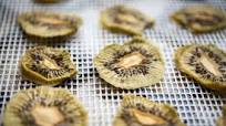 Dehydrated Kiwi Chips Dehydrated Kiwi Chips