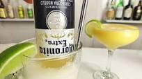 Mexican Bulldog (Coronita Margarita Mexican Bulldog (Coronita Margarita