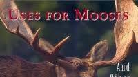 Moose Stew Recipe Moose Stew Recipe