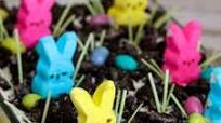 Easter Dirt Cake Recipe Easter Dirt Cake Recipe