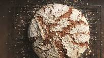 Pure rye sourdough Pure rye sourdough