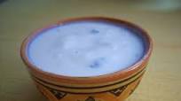 Salsa Tzatziki Salsa Tzatziki