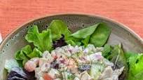Tzatziki Chicken Salad Tzatziki Chicken Salad
