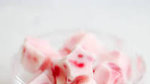 Yogurt Bites Yogurt Bites