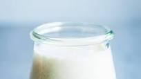 Greek Yogurt Fruit Salad Dressing Greek Yogurt Fruit Salad Dressing