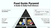 6. A Guide to the Food Pyramid 6. A Guide to the Food Pyramid