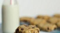 Chocolate Chip Hazelnut Oatmeal Cookies Chocolate Chip Hazelnut Oatmeal Cookies