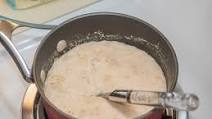 Yogurt Sourdough Starter Yogurt Sourdough Starter
