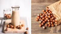 Leche de Avellanas: Receta Casera, Beneficios y Propiedades Leche de Avellanas: Receta Casera, Beneficios y Propiedades