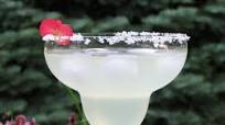 Baha Margarita Baha Margarita