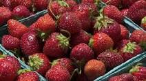 Strawberry Bavarian Strawberry Bavarian