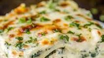 Chicken Lasagna Recipe Chicken Lasagna Recipe