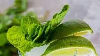 Vodka Mojito Vodka Mojito