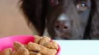 Dog Niblets Dog Niblets