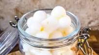 Frozen Pina Colada Dog Treats Frozen Pina Colada Dog Treats