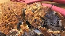 4 Easy Ways to Make Delicious Pulled Pork 4 Easy Ways to Make Delicious Pulled Pork