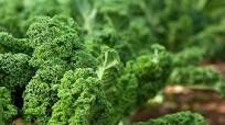 Energy Salad for Thyroid Energy Salad for Thyroid
