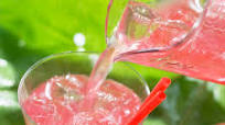 Polish Rhubarb Honey Drink Polish Rhubarb Honey Drink